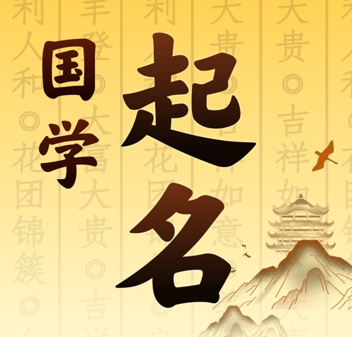 凌云国学起名 人工起名一对一